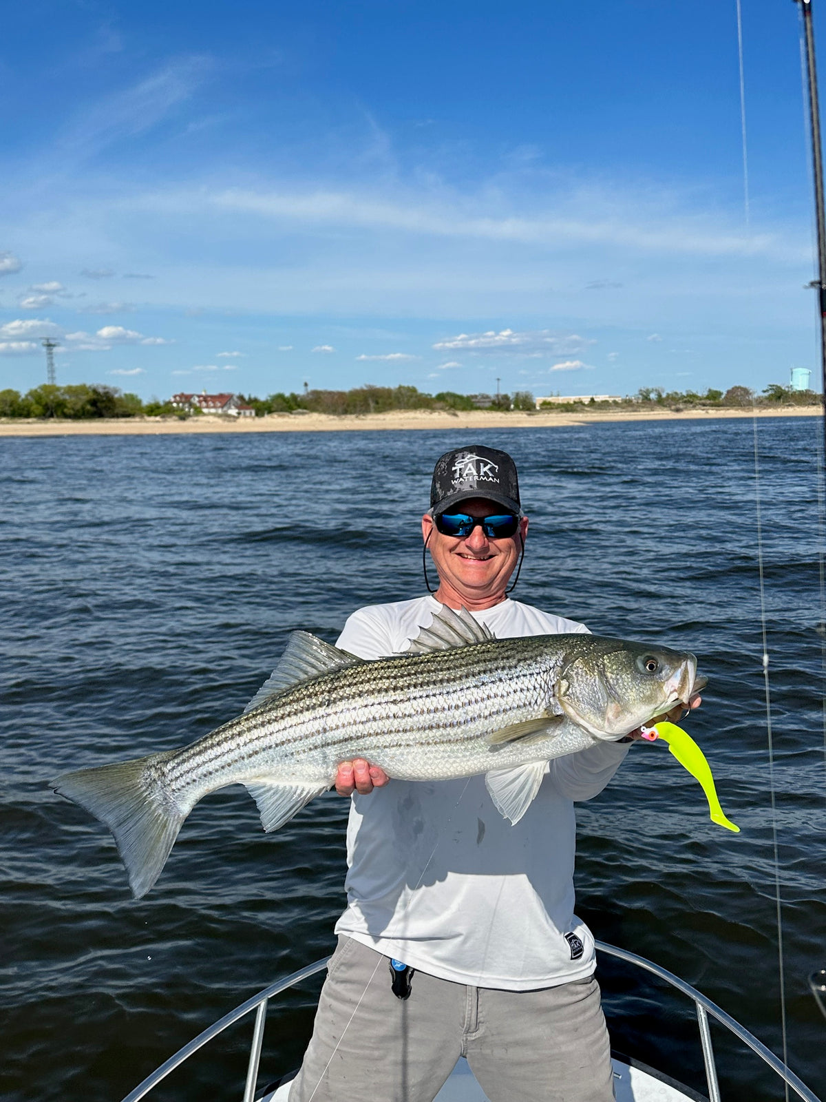 G-Eye Jigs