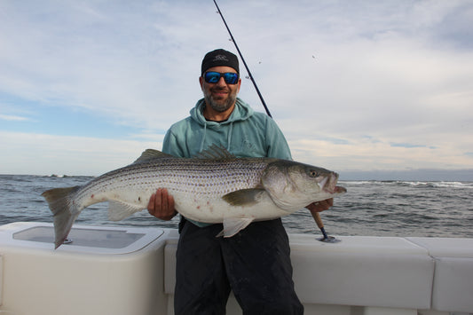 Spring time Stripped Bass