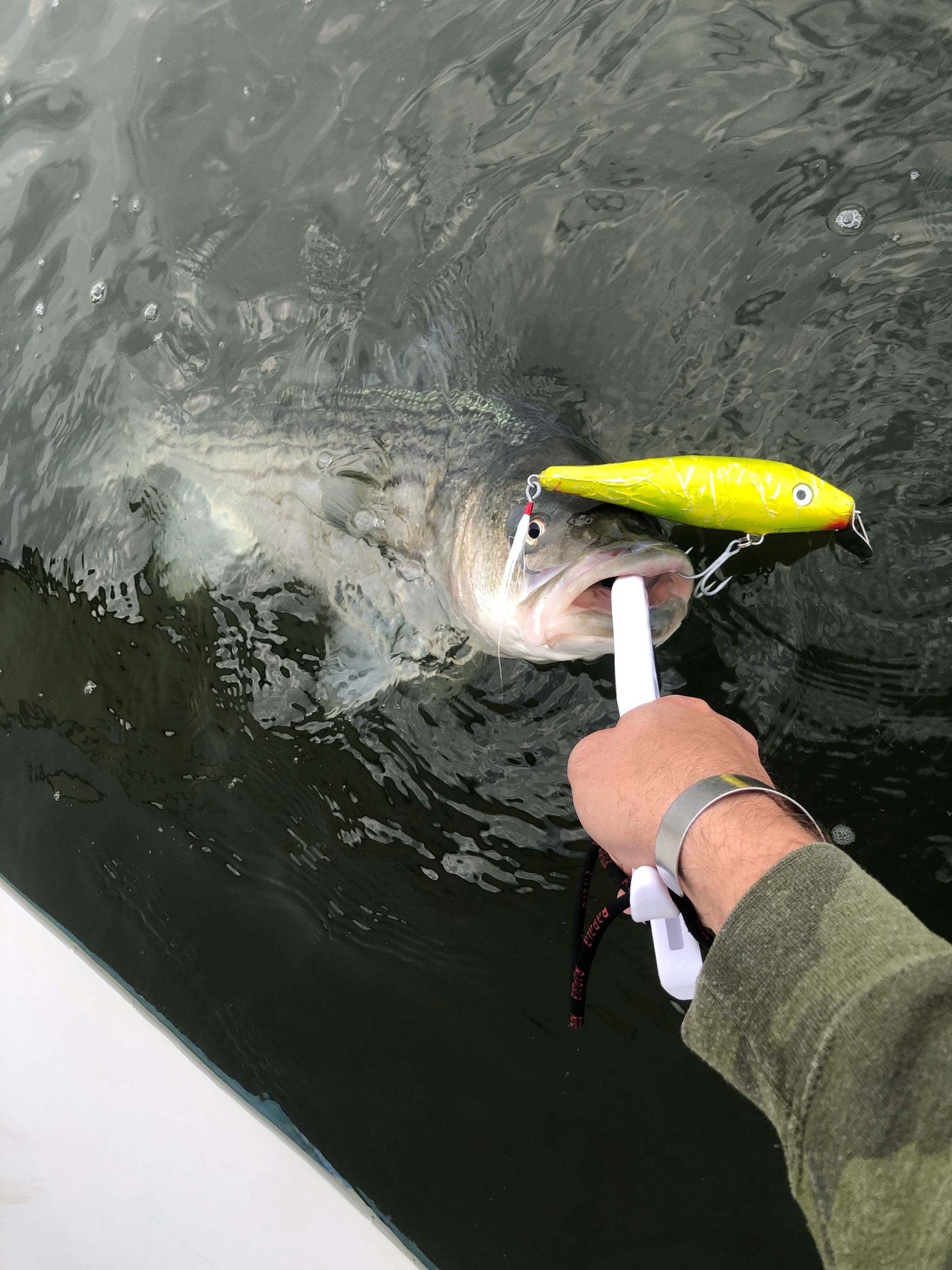 The world cup of bass fishing swims into Bay City this summer