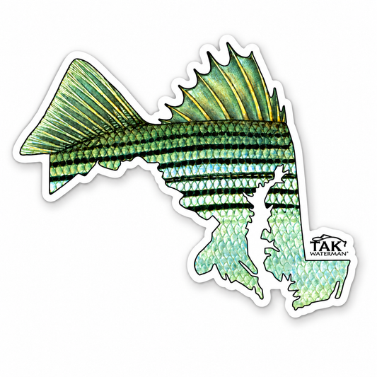 Maryland Striped Bass Decal ***Free Shipping for decal orders only***