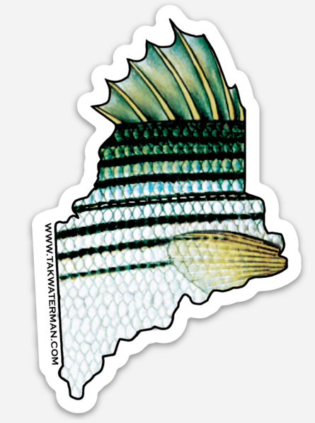 Maine Striper Decals ***Free Shipping for decal orders only***