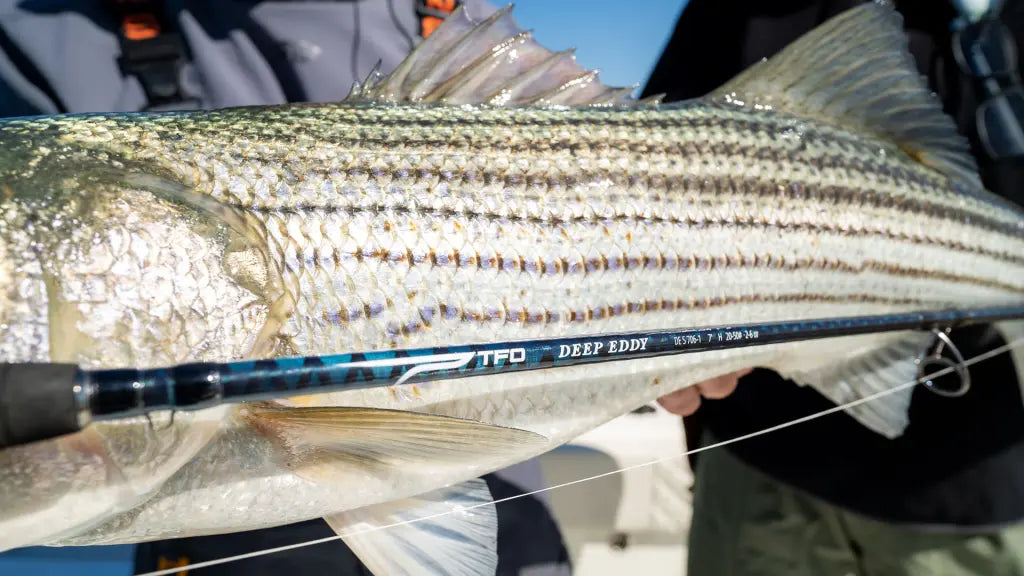 TFO Deep Eddy Nearshore Rods