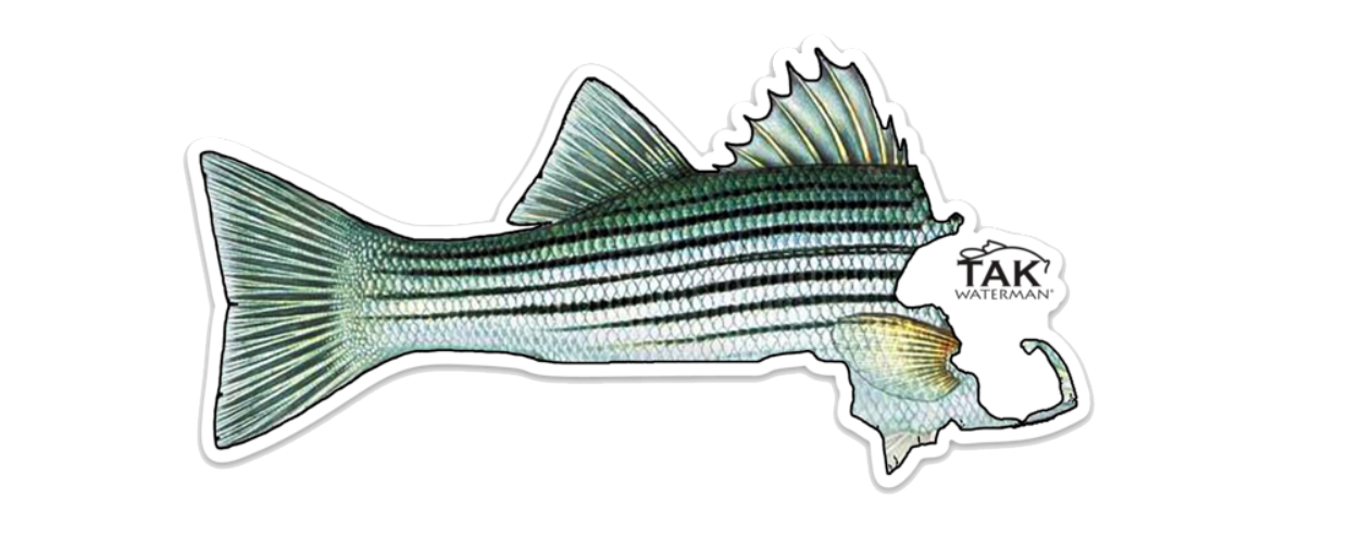 MASS Striper Decals ***Free Shipping for decal orders only***