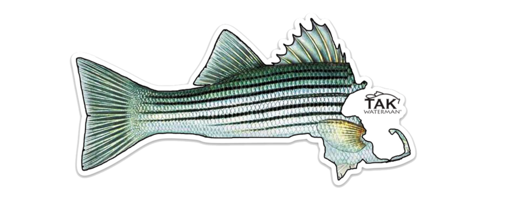 MASS Striper Decals ***Free Shipping for decal orders only*** – TAK  Waterman Supply