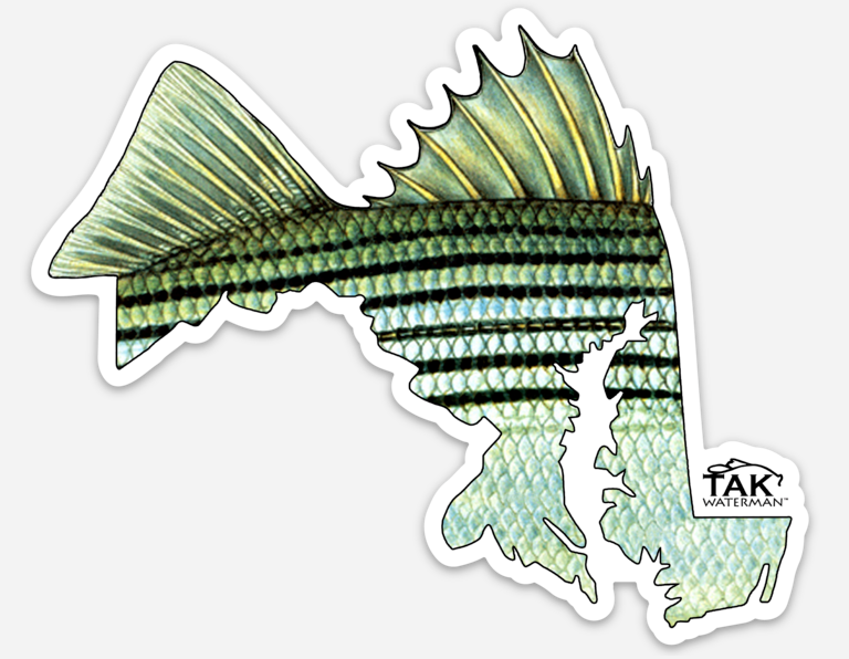 Maryland Striper Decals ***Free Shipping for decal orders only***
