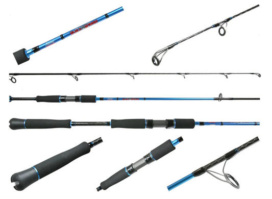 Jigging World | Black Widow | Inshore Rod