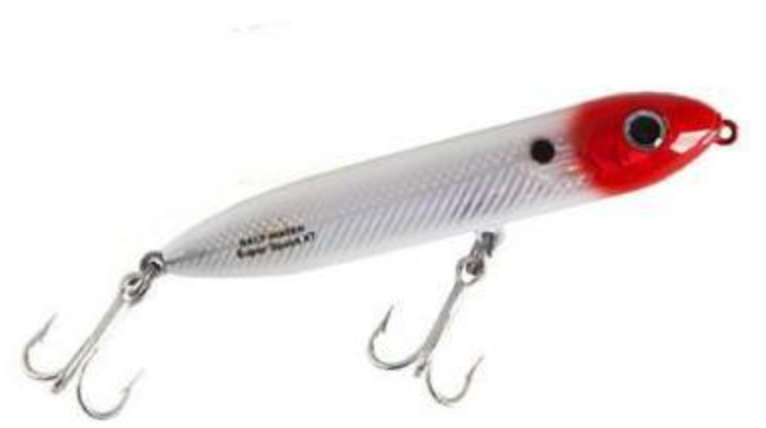 Heddon Lures X9256GS Super Spook Fishing Lures, Golden Shiner, 5, Topwater  Lures -  Canada