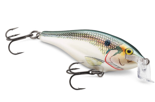 Rapala | Shallow Shad Rap